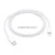 Apple USB-C to Lightning Cable (1 m) Box Pulled